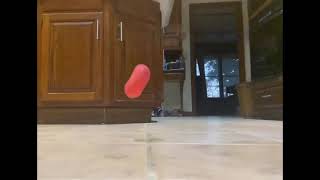 Throwing a stress ball on the floor :SHORT: