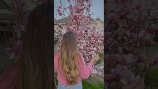 Download Lagu Magnolia flowers - one of the favorites | Little sweet joys of a cozy life #magnolia #sweetdreams MP3