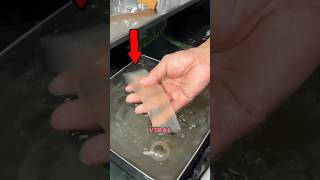 Hal Viral Di Jepang Yang Masuk Akal