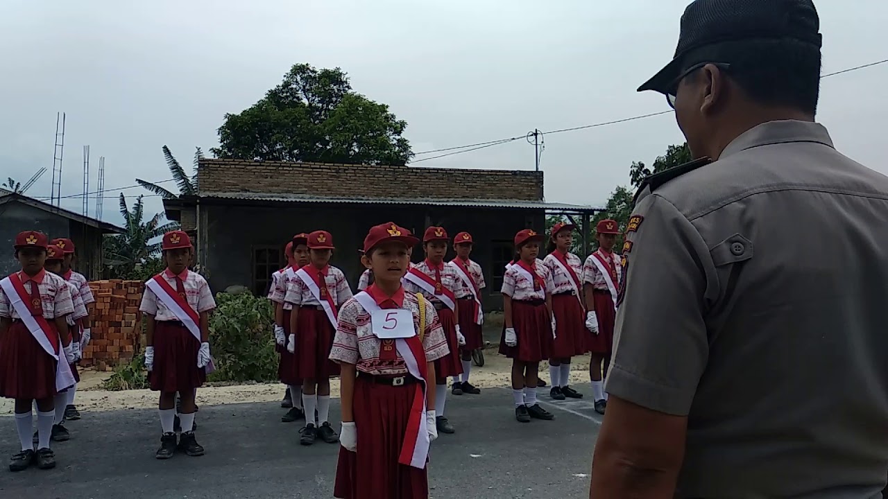 Juara 1 Putri Gerak Jalan tingkat kecamatan SD Swasta Tunas Harapan