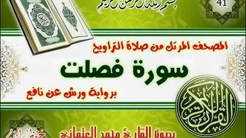 41-المصحف المرتل من صلاة التراويح / سورة فصلت