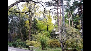 Градската градина на Попово - "10 000 крачки", 12.04.2023