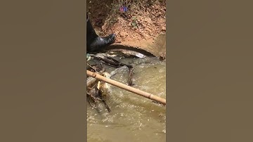 Happy to Unclogging Culvert Pipe !!!