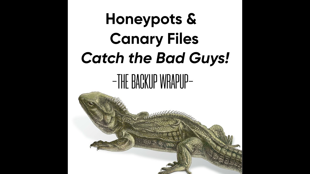 How Honeypots and Canary Files Catch Attackers Before They Strike How Honeypots and Canary Files Catch Attackers Before They Strike
