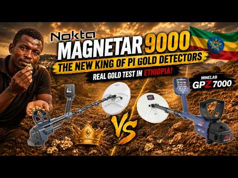 Nokta Magnetar 9000 Field Test - The New King of Gold Detectors