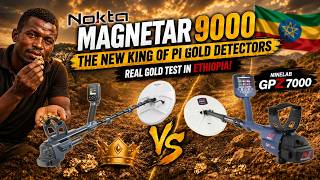 Nokta Magnetar 9000 Field Test - The New King of Gold Detectors
