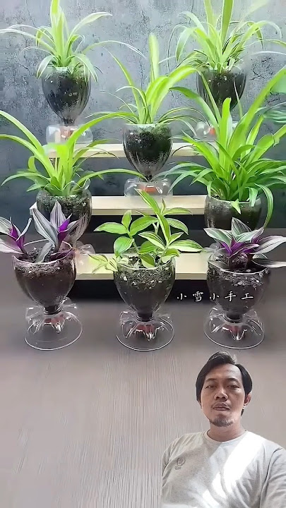 Cara membuat pot tanaman cantik dari botol bekas #diy #gardening