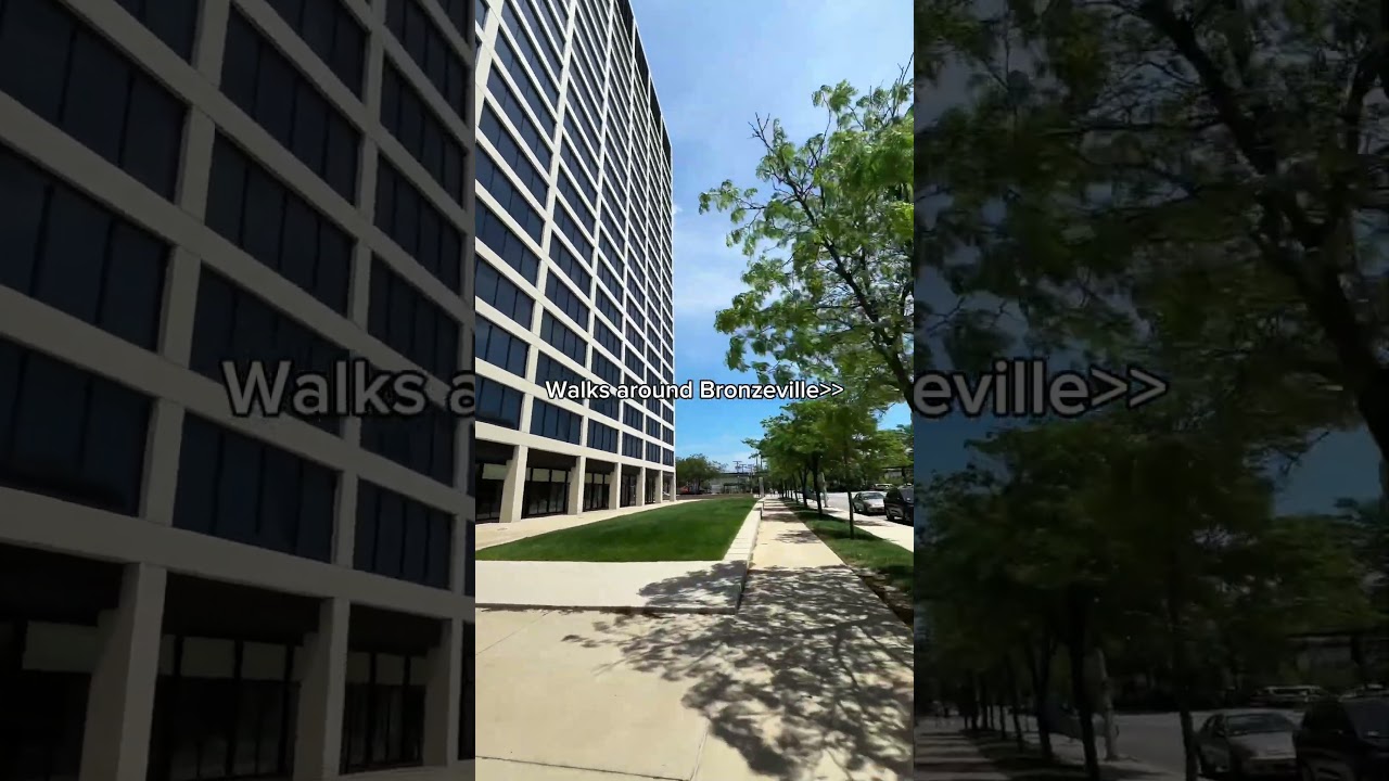 Nothing like a nice walk in Bronzeville! 