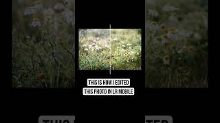 How to edit flower photo in Lightroom mobile screenshot 2