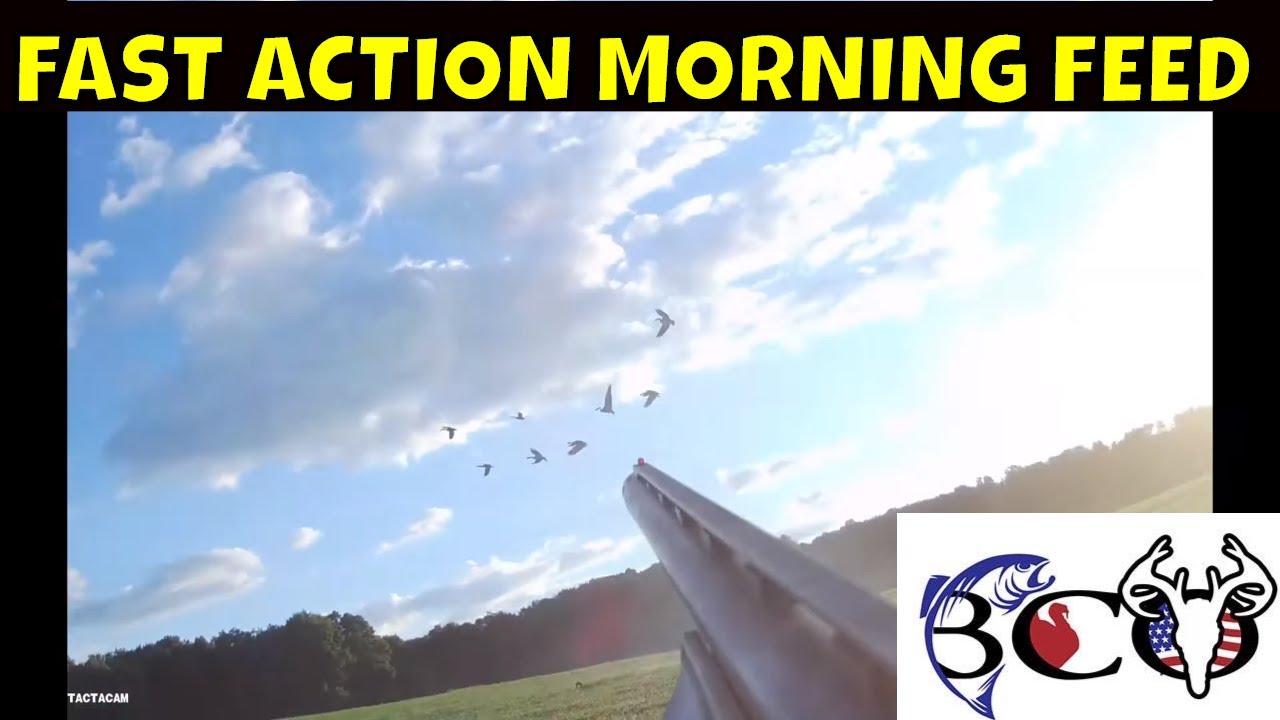 OUR FIRST HUNT OF 2020 NY EARLY SEASON GOOSE