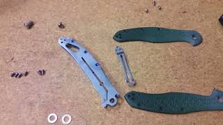 Steel Will Intrigue Disembly And Dyed Scales