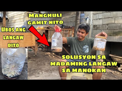 Video: Paano Maghilom Ng Mga Langaw Sa Pangingisda