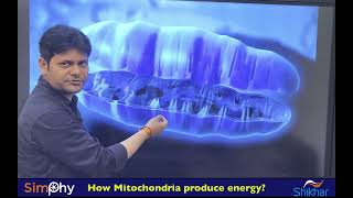 How does Mitochondria produce energy?