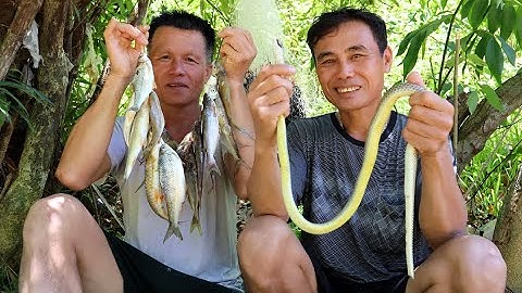 Cao Thủ Quăng Chài Bắt Cá Sông Số Một Trên Tây Bắc || A Bảo vlog