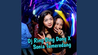 DJ Ring Ding Dong Wan Gombel X Sonia
