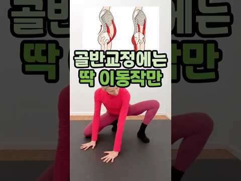 골반교정에는 딱 이동작만 #홈트 #오운완 #골반교정 #다이어트  #운동하는여자