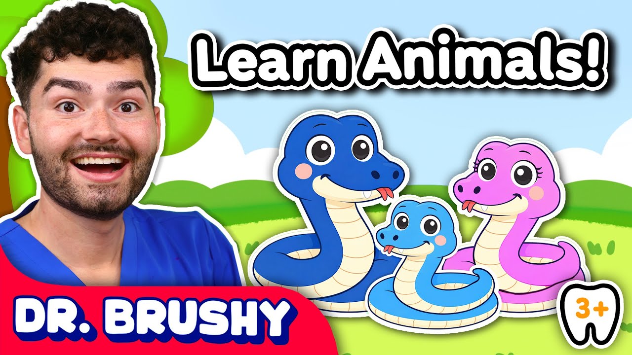 Let’s Learn About Teeth and Shapes! | Preschool & Toddler Learning Video