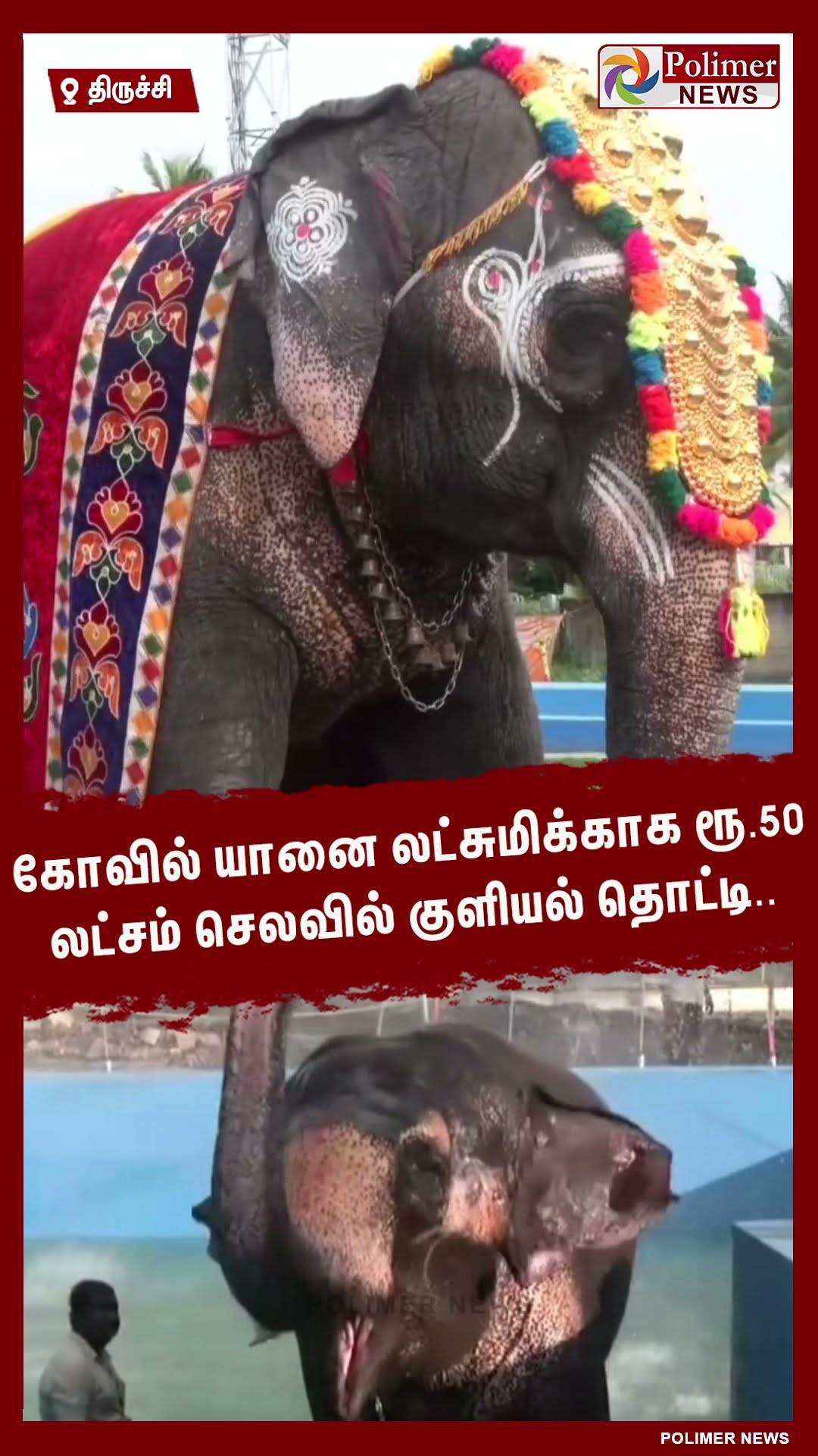 கோவில் யானை லட்சுமிக்காக ரூ.50 லட்சம் செலவில் குளியல் தொட்டி.. #shorts