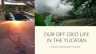 Living on an Off-Grid Biological Reserve in the Yucatan Jungle