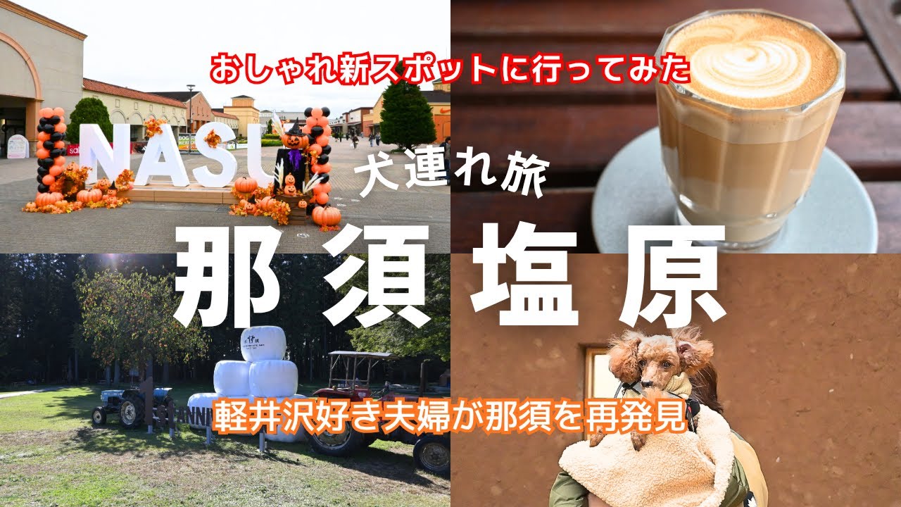 🐾【那須 犬連れ旅】大人気のちぎりハンバーグ（千本松牧場）｜新ランチスポット NASU PARADISE VILLAGE｜那須ガーデンアウトレット｜GOOD NEWS NEIGHBORS