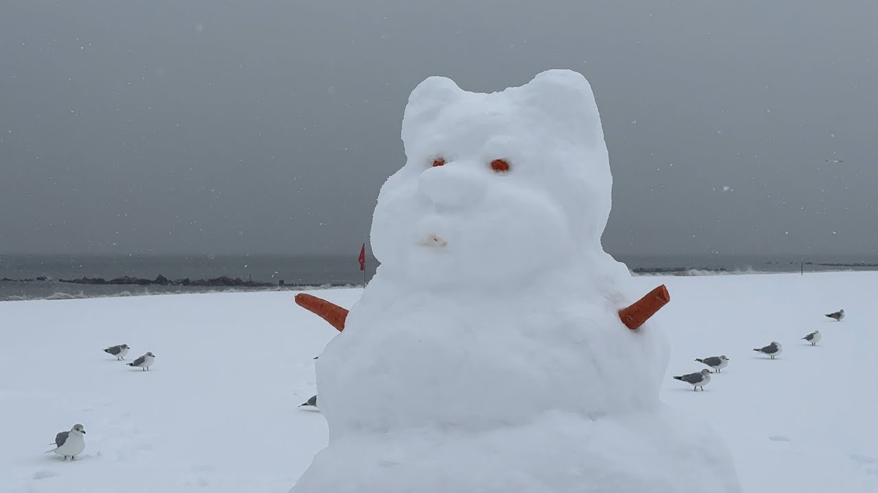 Built a GIANT Snowman My Height After the NYC Snowstorm! ☃️ Snow Blizzard 2026