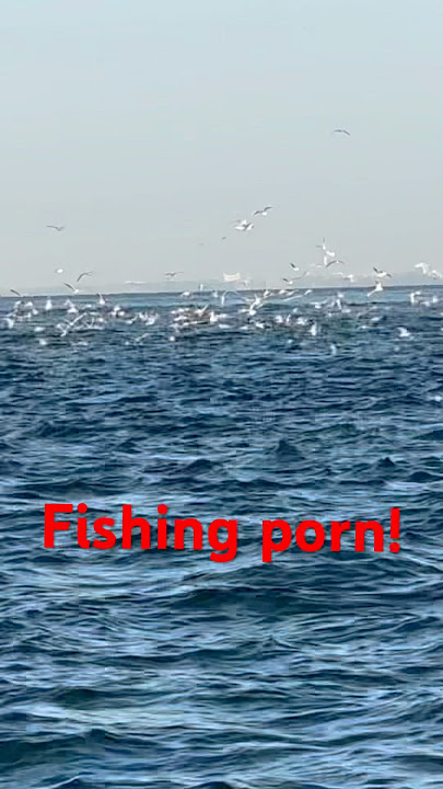 Fishing porn! #fishing #fish #ocean