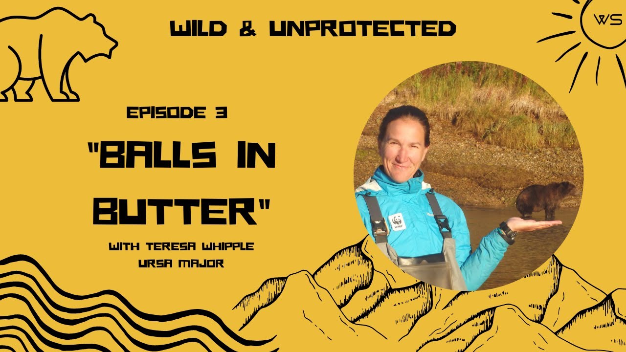 Balls in Butter - Teresa Whipple from Ursa Major (Wild & Unprotected Podcast)