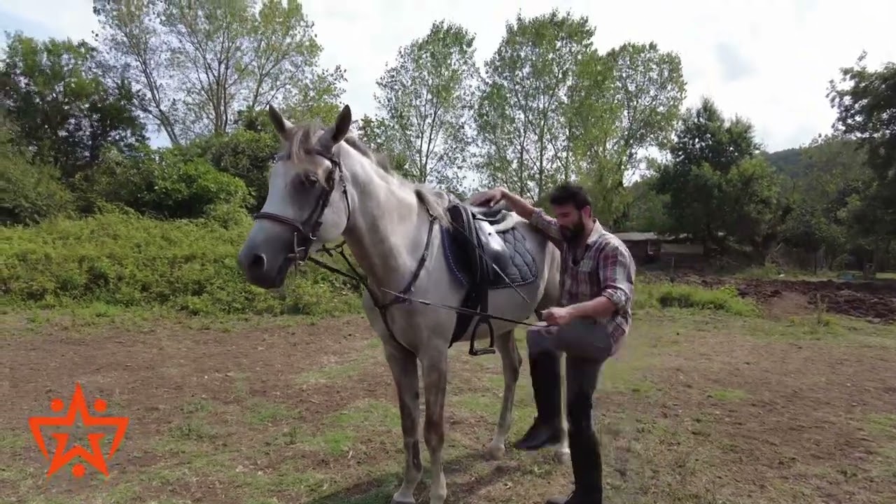 ATA DOĞRU ŞEKİLDE NASIL BİNİLİR?