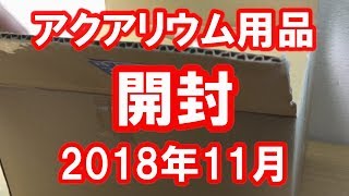 【アクアリウム・開封】春ぶりの開封するよ♪チビコリ元気に育ちますように！