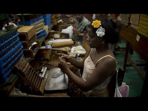 شاهد سياح يستمتعون بلف السيجار الكوبي في مهرجان هافانا