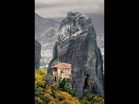 العلم بلا عمل كالشجره بلا ثمر