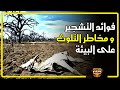 فوائد التشجير و مخاطر التلوث على البيئة