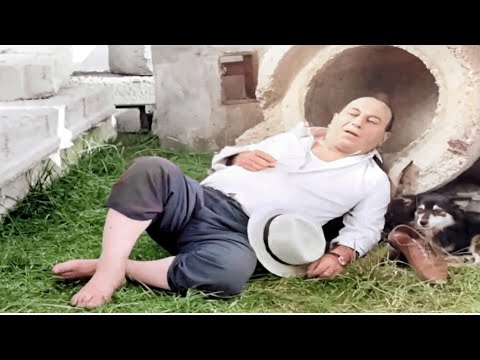 ფეოლა - მოვიგეთ! გაგიჭირდებოდათ :)