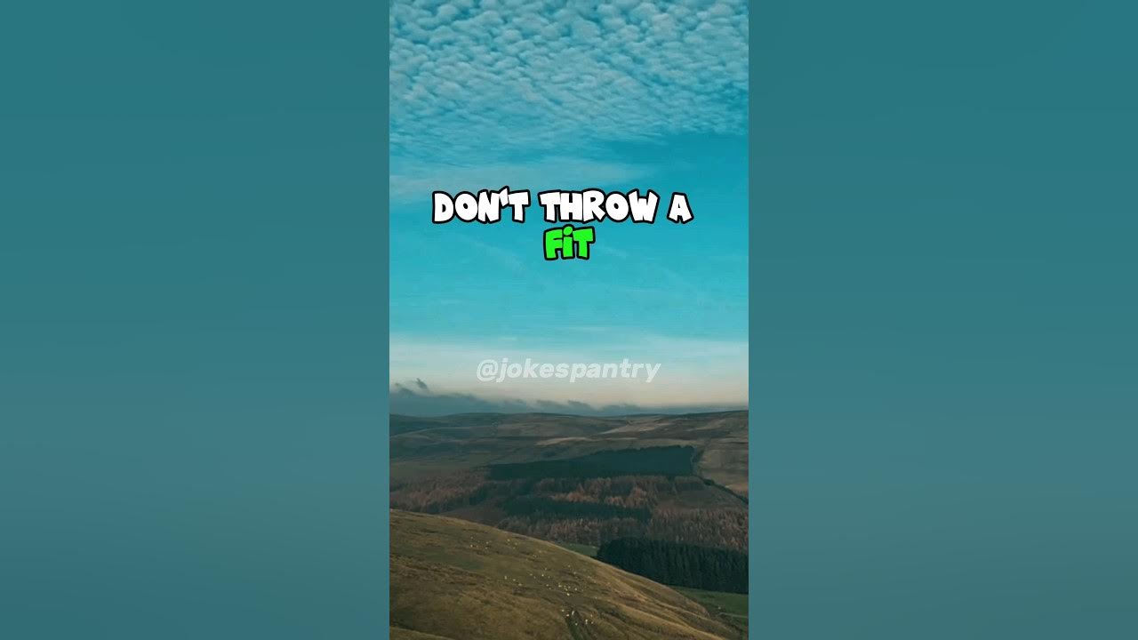 🤣"Don't throw a fit" shorts jokes funnyjokes laugh funny YouTube