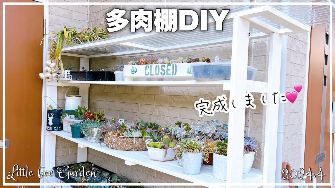 Succulents] The succulent shelf has been completed [Gardening