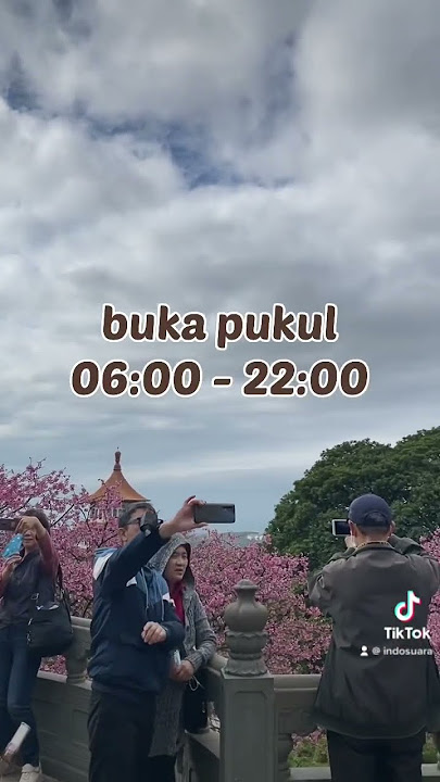 Bunga sakura di Taiwan⁉️😱 #indosuara #indosuaratv #shorts