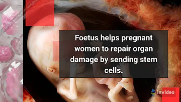 Foetus helps pregnant women to repair organ damage by sending stem cells.