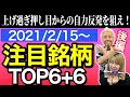 【JumpingPoint!!の株Tube#198】2021年2月15日～の注目銘柄TOP6+9 (後編)