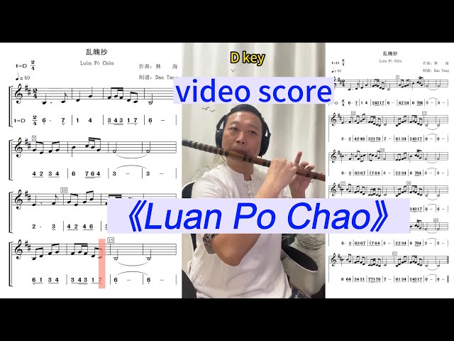 《Luàn Pò Chāo -The Untamed OST》D key Dizi Flute Playing With Video Score (Staff+Number Notation)乱魄抄 class=