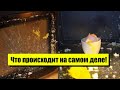 Вы будете в шоке! Взрыв яйца-вот что происходит на самом деле: останетесь без микроволновки! Детали!