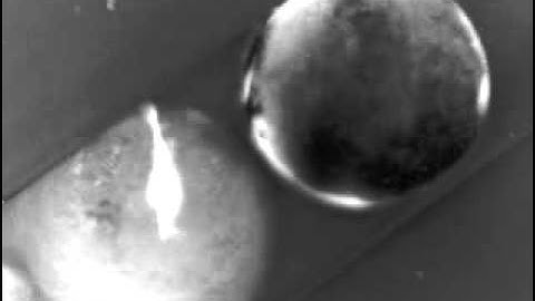 Never-Before-Seen Bioelectric Pattern