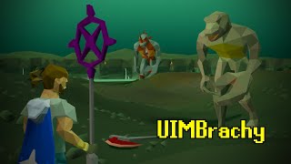 The Things I Do For Clues - UIMBrachy 36