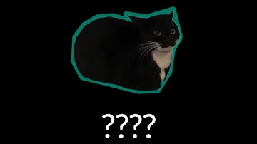 13 Maxwell The Cat Sound Variations in 51 Seconds part 4
