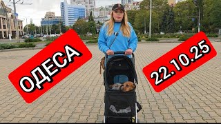 картинка: HOLLYWOOD ❗ЗБИРАЄМОСЬ В БУКОВЕЛЬ❗АРКАДІЯ ❗