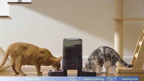 Program Tutorial for OneIsAll H1 Pet Feeder