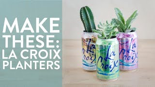 DIY La Croix Can Succulent Planters