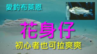 (9) 花身仔的習性與釣法【知魚不龜系列】 