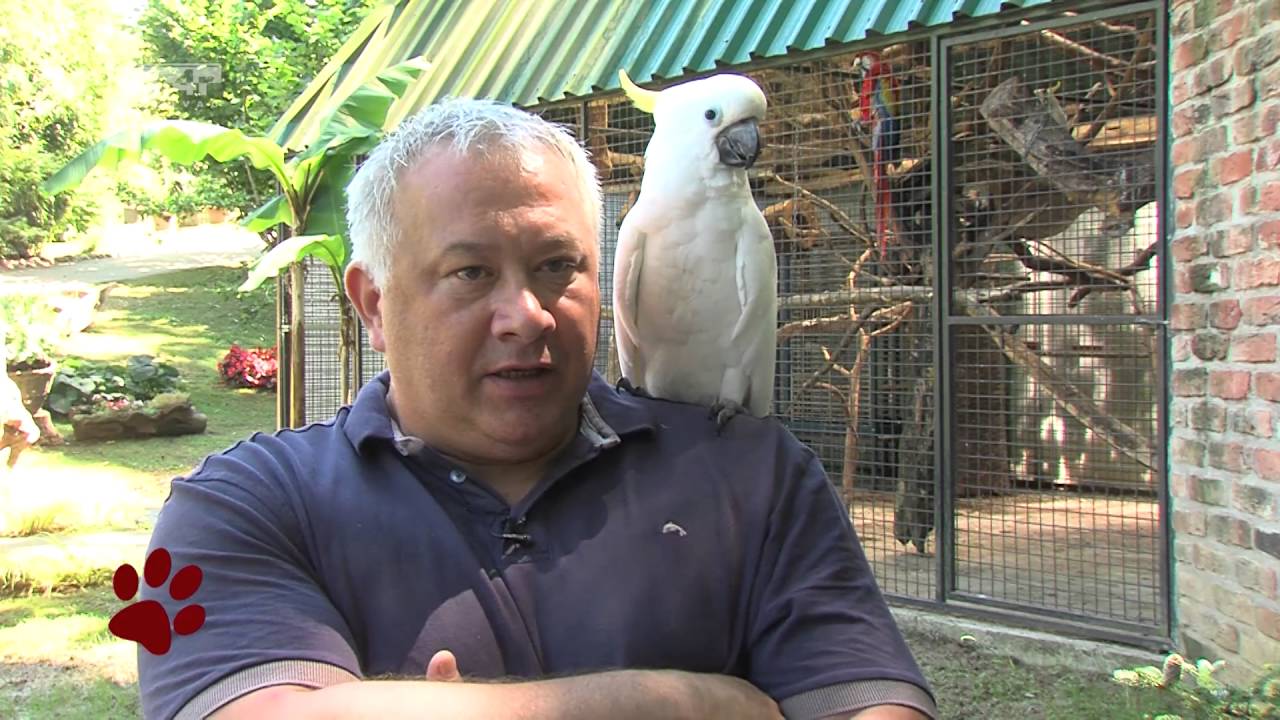 Životinjska farma 13 02072016 Farma papiga Kokolo 1. dio