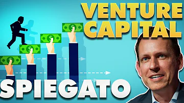 Cosa sono le società di venture capital?