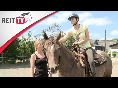 Westernreiten lernen: Zu Besuch in einer Western-Reitschule